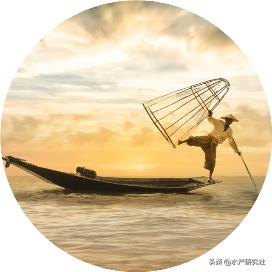 小球藻是水剂好还是粉剂好,水产小球藻种是干粉好还是液体好