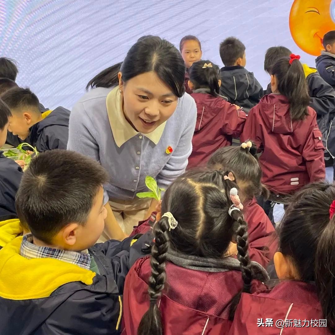 小学教育党建工作课题,中小学党建课题