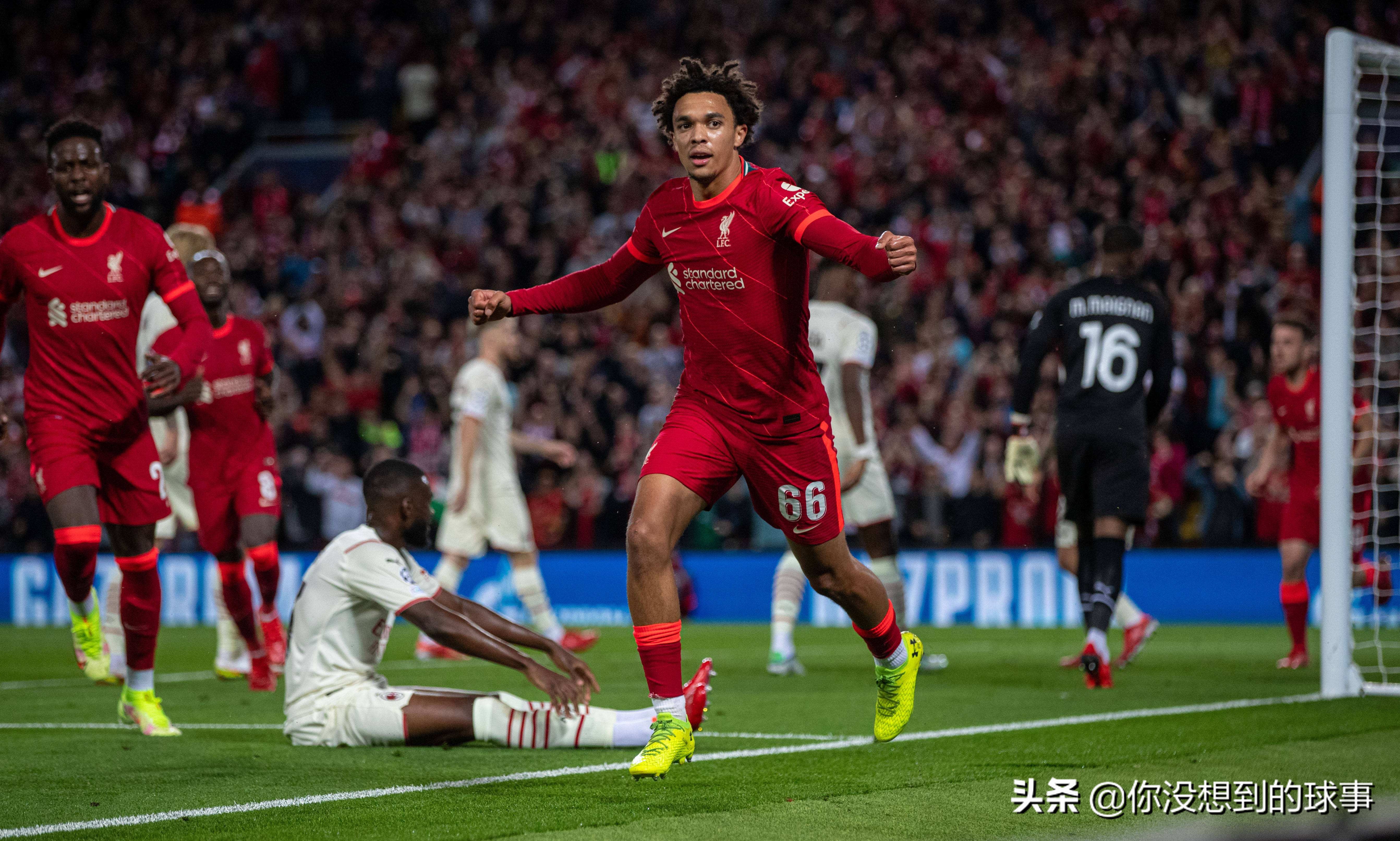 阿什拉夫vs贝尔,阿什拉夫vs阿诺德