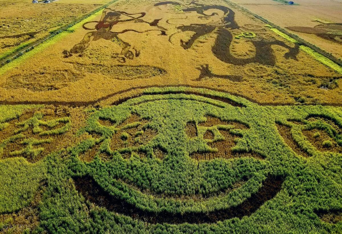 焚烧秸秆对土壤好还是坏,焚烧秸秆利大还是弊大