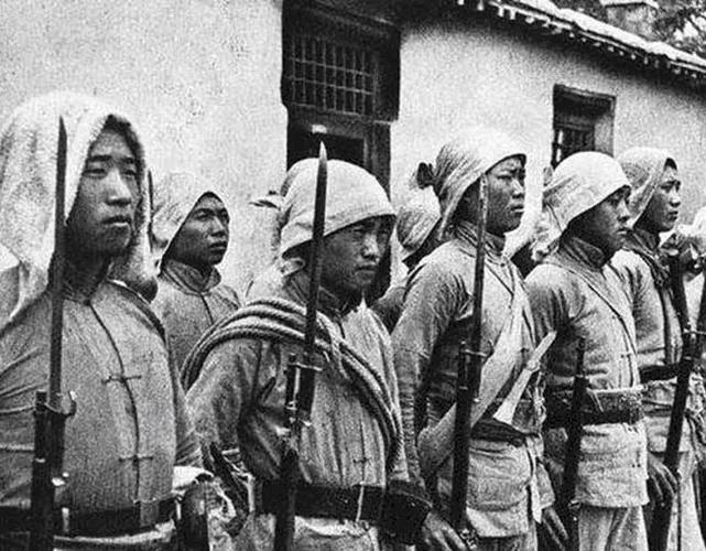 张寡妇的故事,张寡妇怎么成为悍匪的