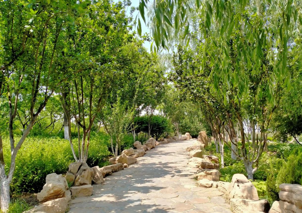 天津周边可生火的露营地,私藏天津小众露营地