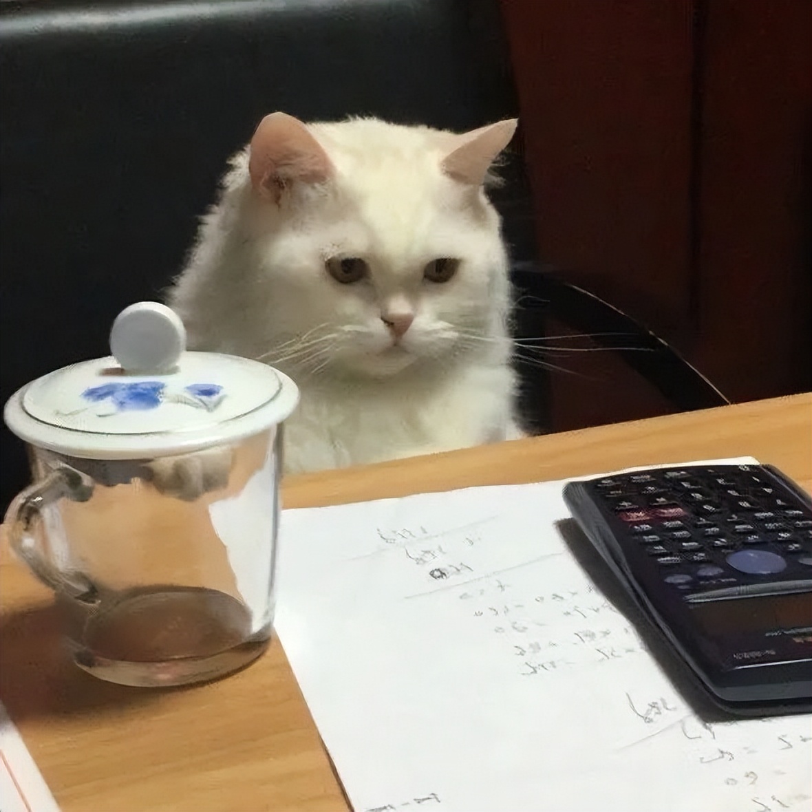 内耗严重的人格,内耗型人格和普通人格