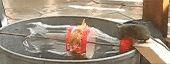 真的有女孩子敢穿这种衣服吗,姑娘穿这样的衣服出门不尴尬吗