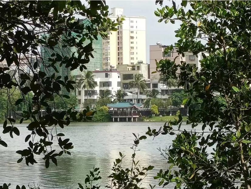 海南大学在吉林省录取线,海南大学省排名多少能录取