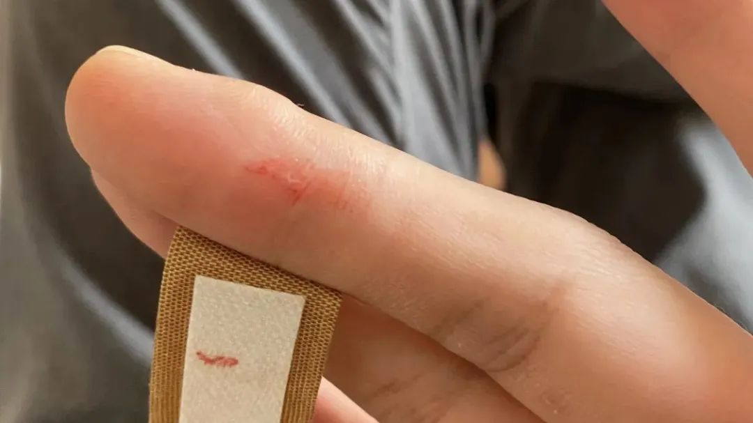 一个苹果让我们明白了什么,看到苹果你会想到什么呢