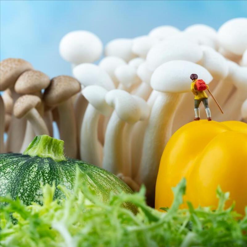 提醒老师、家长和学生：不购买和接受捐赠含有二维码、网址的图书