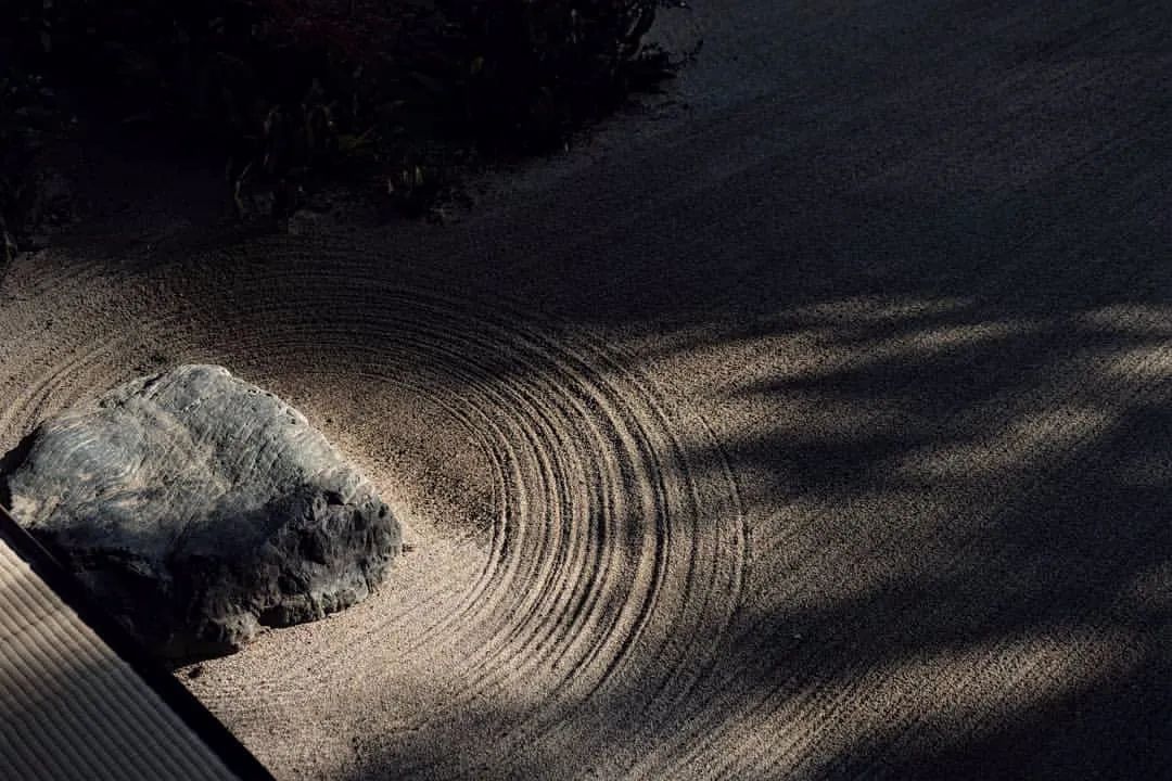 日本枯山水景观,日本枯山水中的树是什么树