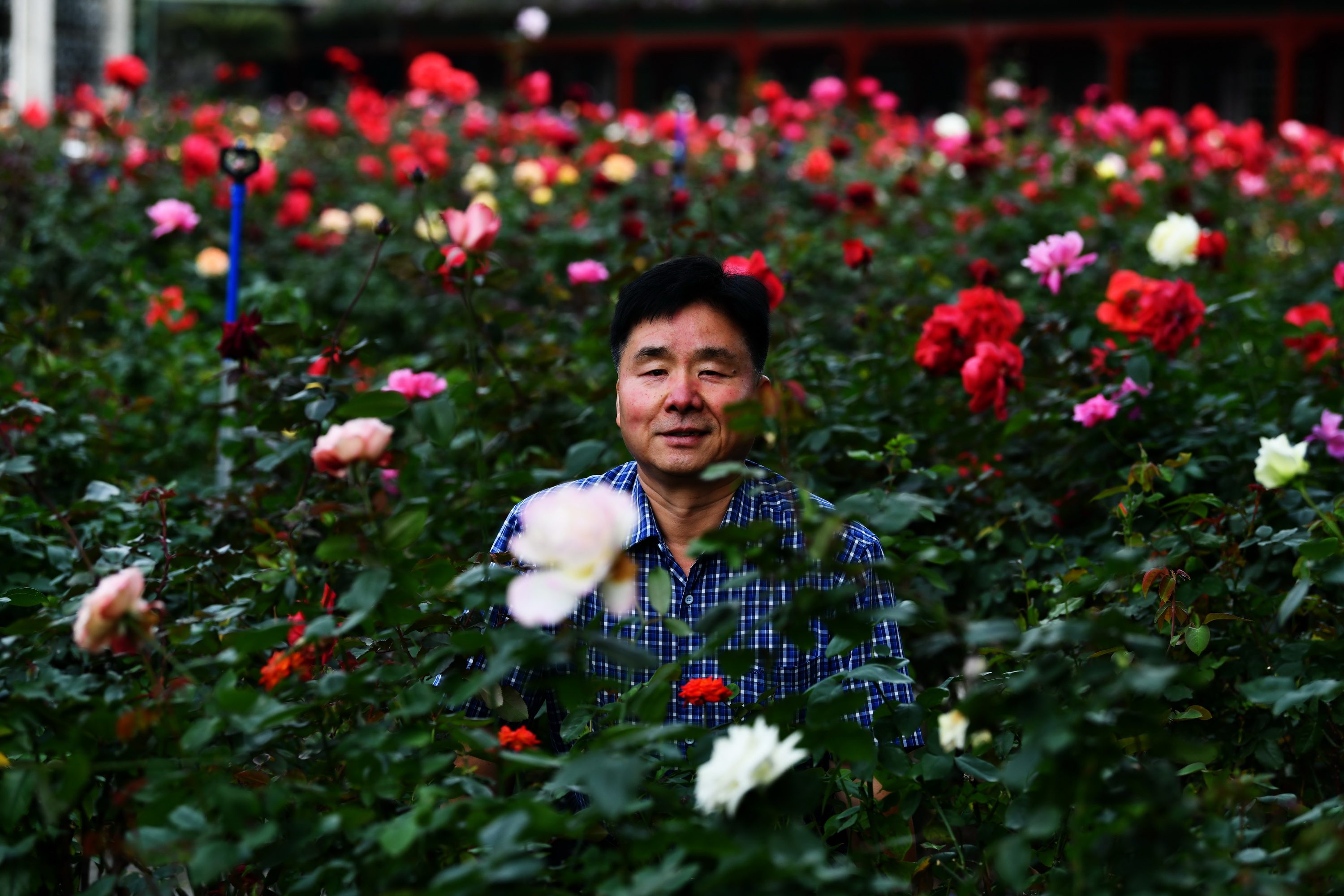 广州市番禺区宝墨园攻略,广州宝墨园景观