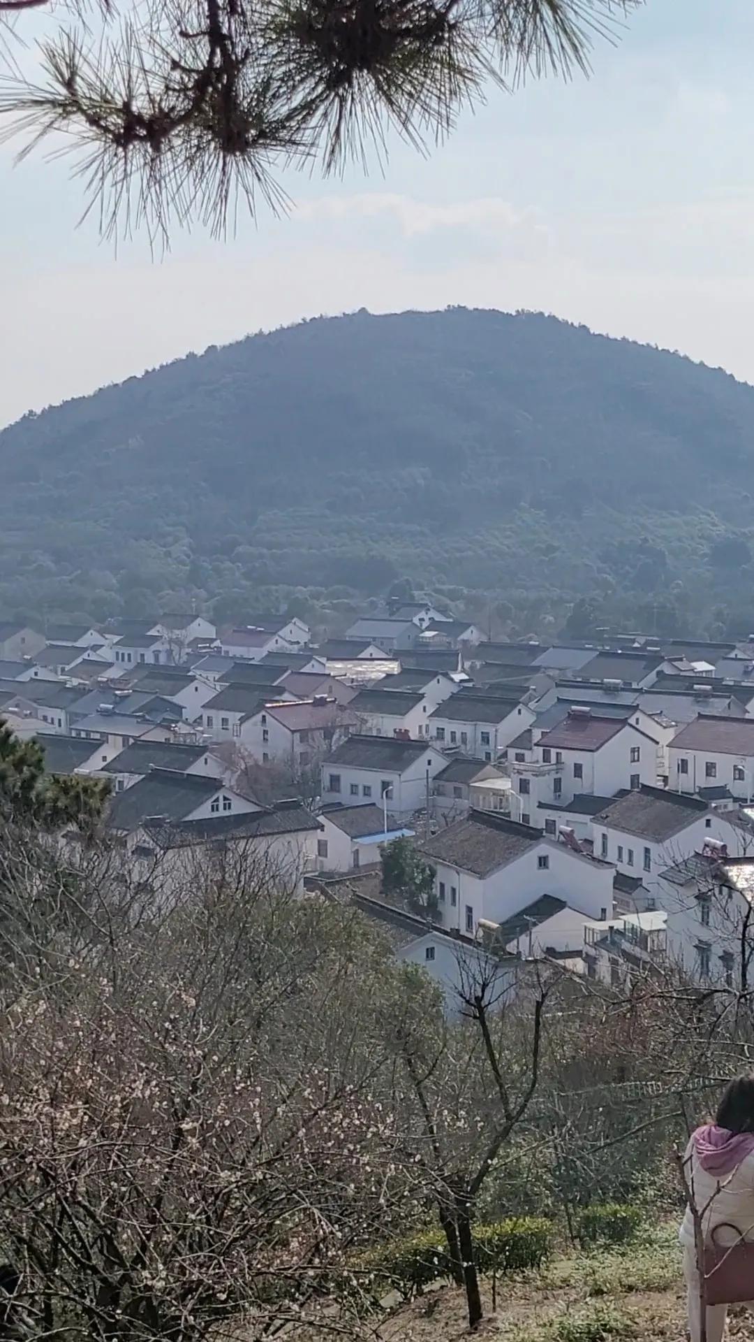 苏州赏梅景点图片,苏州东太湖赏梅攻略