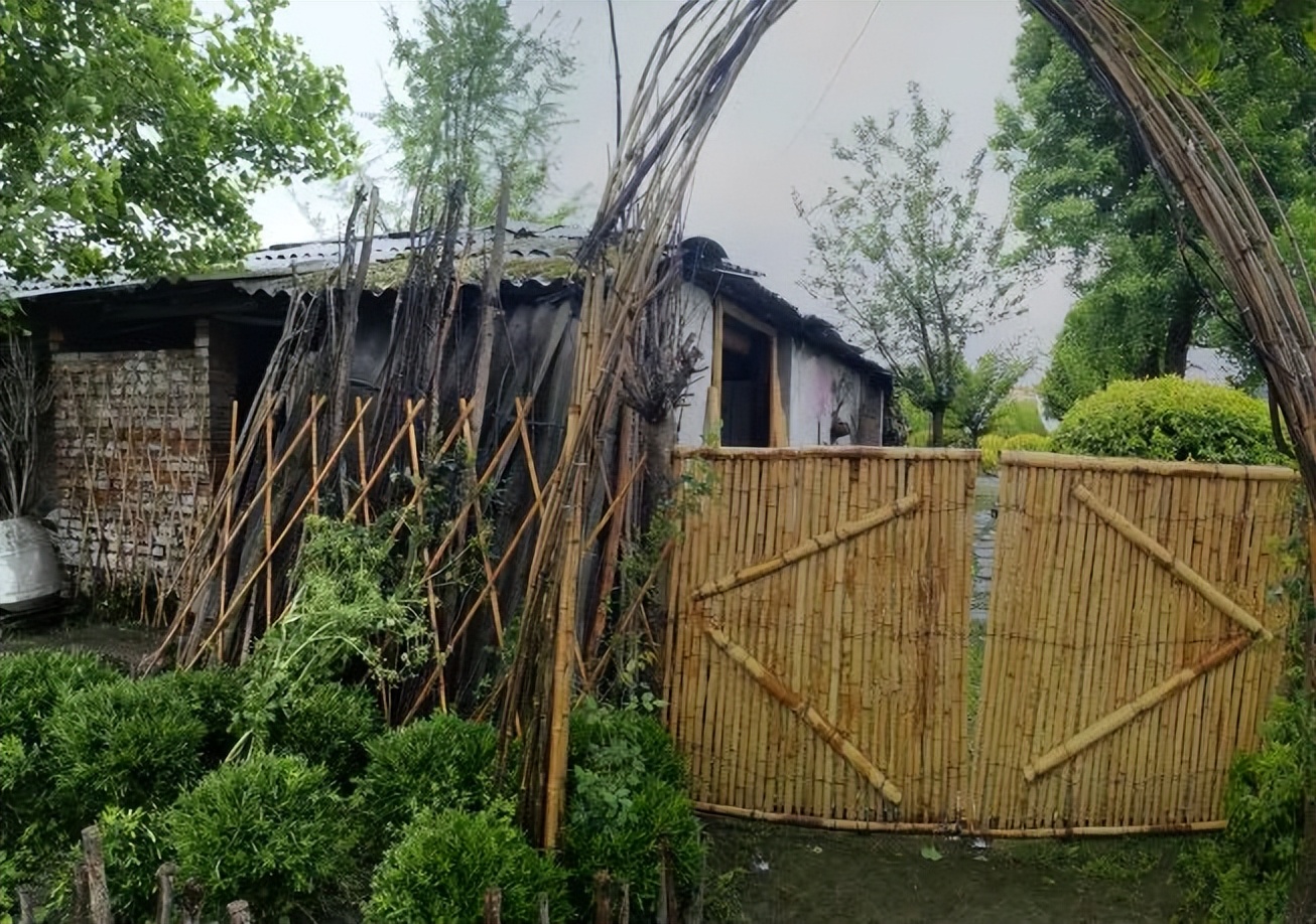 闲置猪圈变身小清新茶舍，3位80后妈妈在郫都打造向往的田园生活