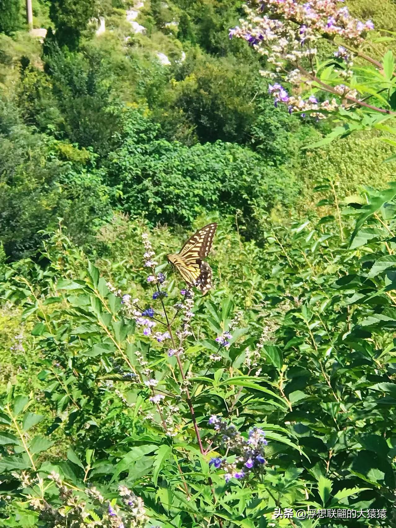 济南章丘旅游一日游,济南章丘一日自驾游攻略