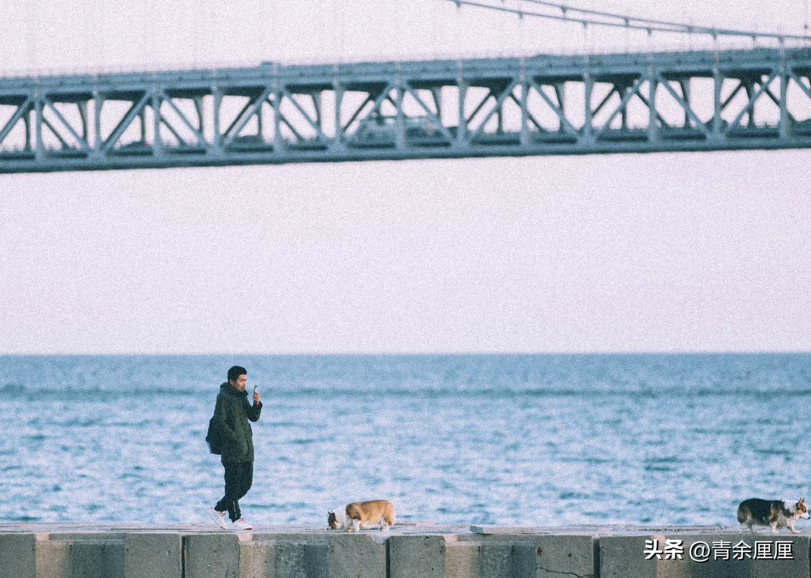 暑假去青岛还是威海看海,青岛和大连哪个城市适合看海
