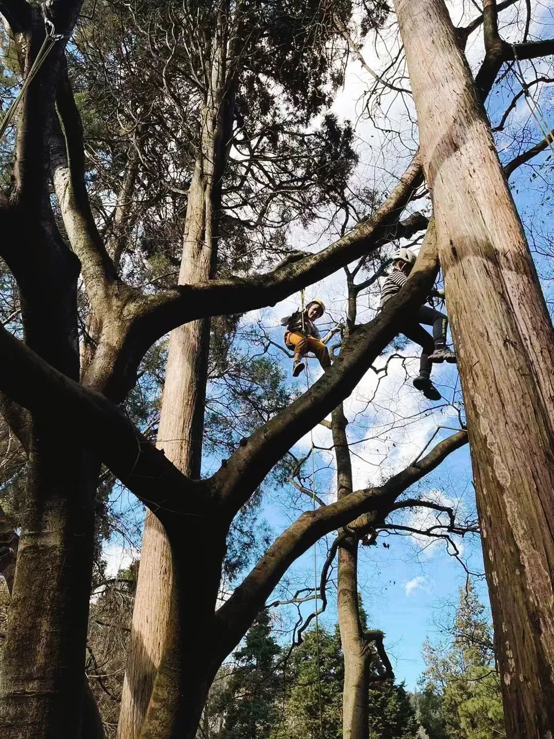 裸辞女教师云南,辞职女教师隐居山村多年