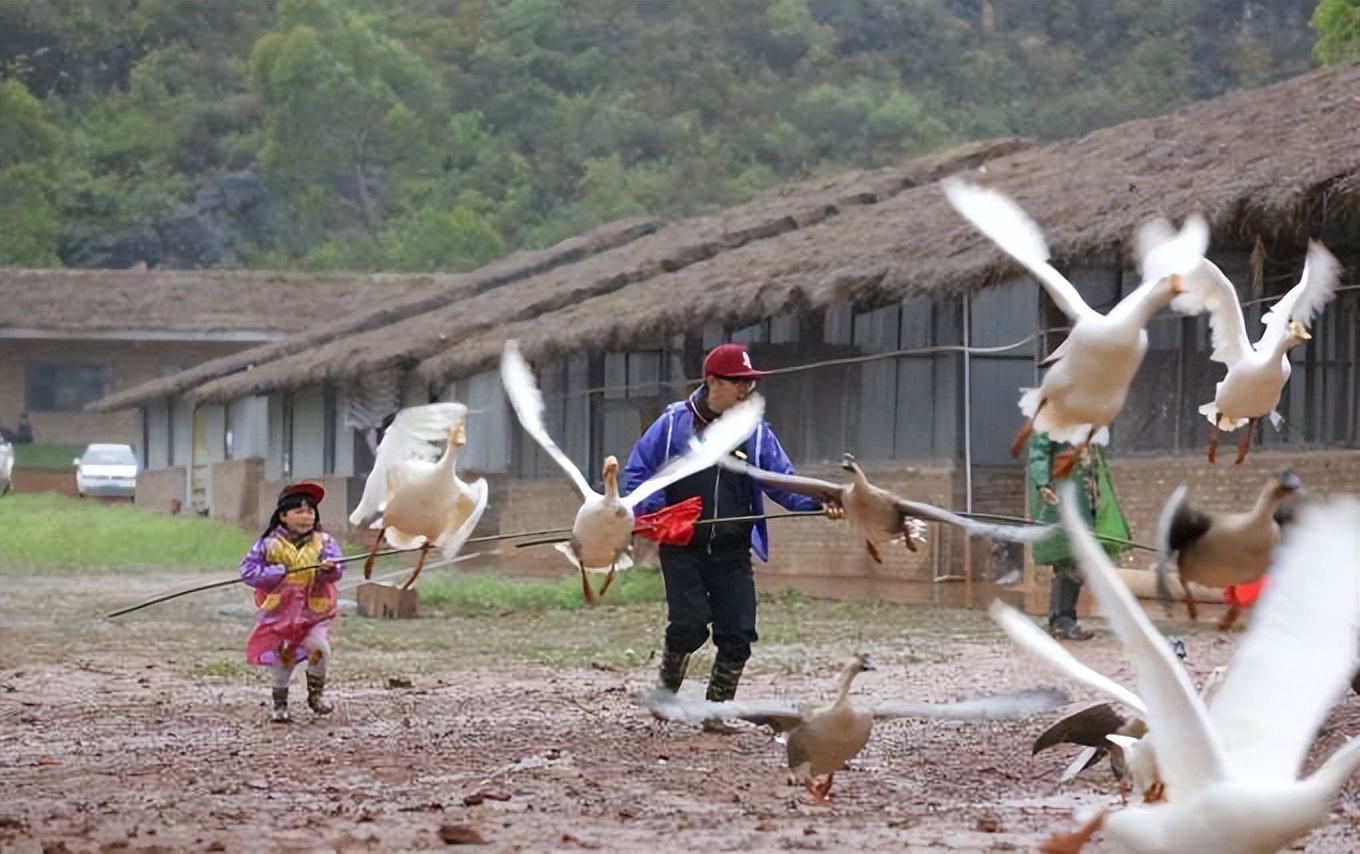 普者黑省旅游景点全攻略,普者黑风景区一天游玩攻略