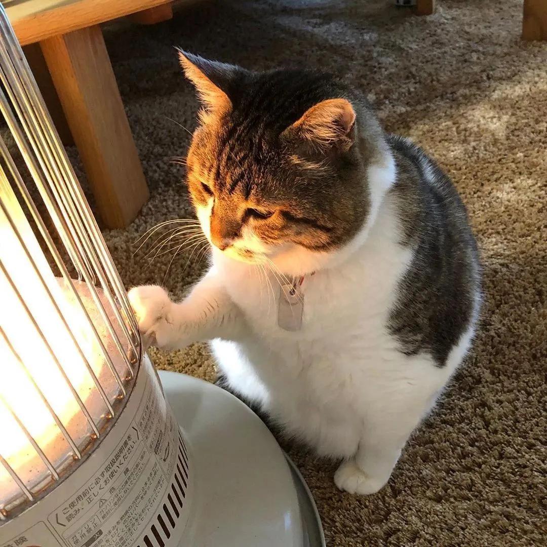 内衣周刊｜都市新感觉：对不起，保暖内衣！是我错怪了你