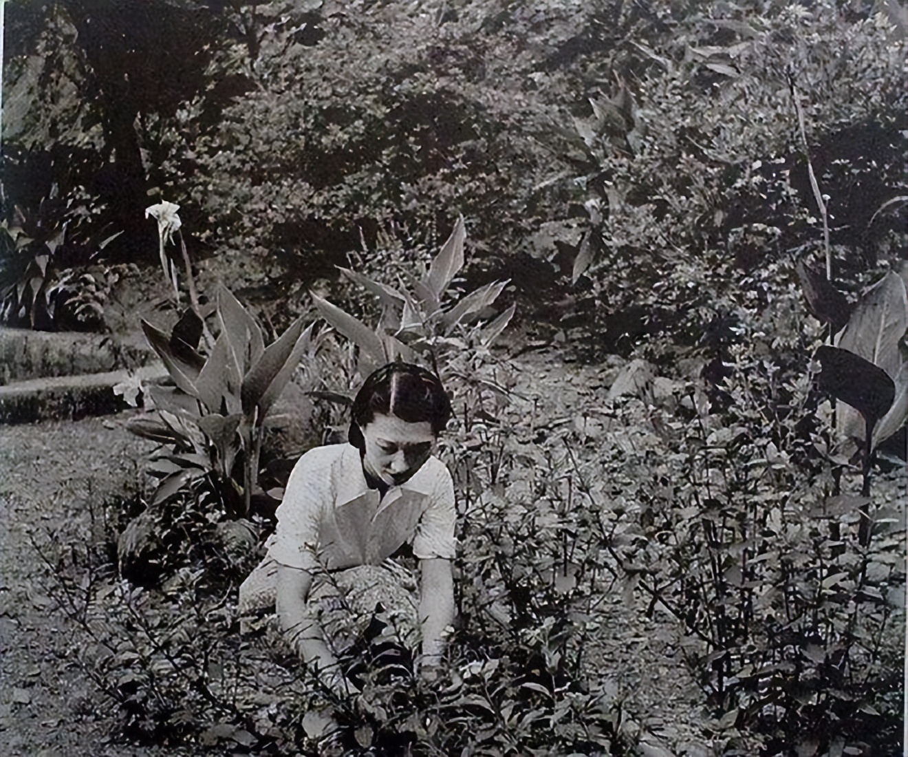 张学良和赵四小姐年轻真实照片,张学良与赵四小姐真实照片