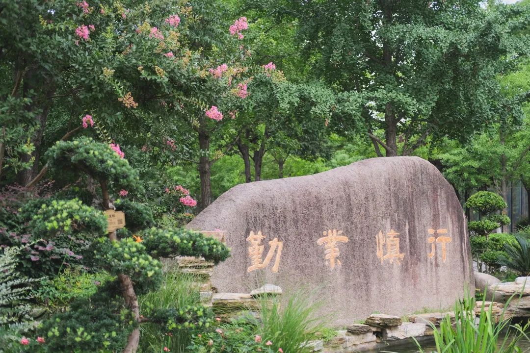 梁丰个人资料,梁丰大结局