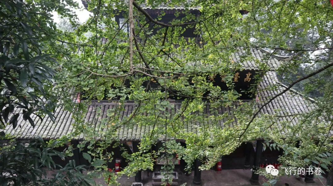 道教四大仙山你爬过几座,青城山为什么被称作道教第一山