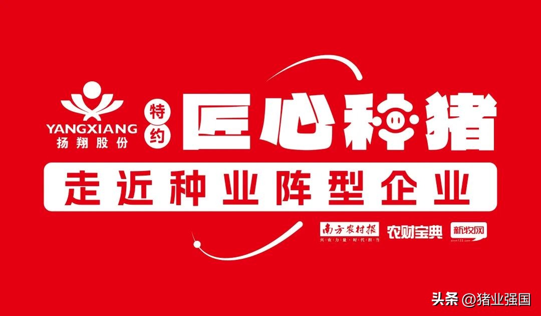 壹号食品董事长陈生,壹号食品陈生最新视频