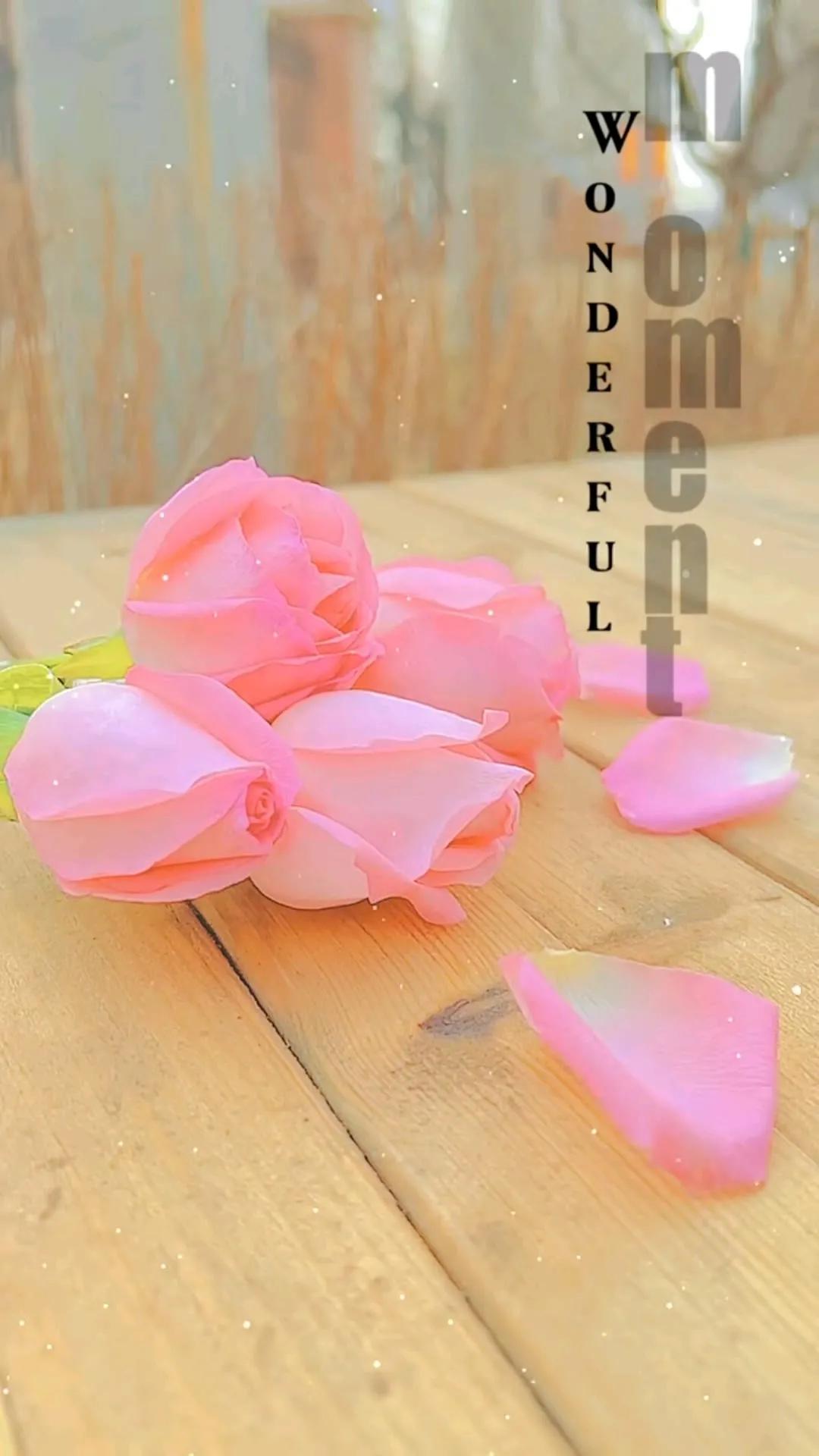 手机壁纸大全超好看动态,壁纸超清4k手机壁纸男生专用