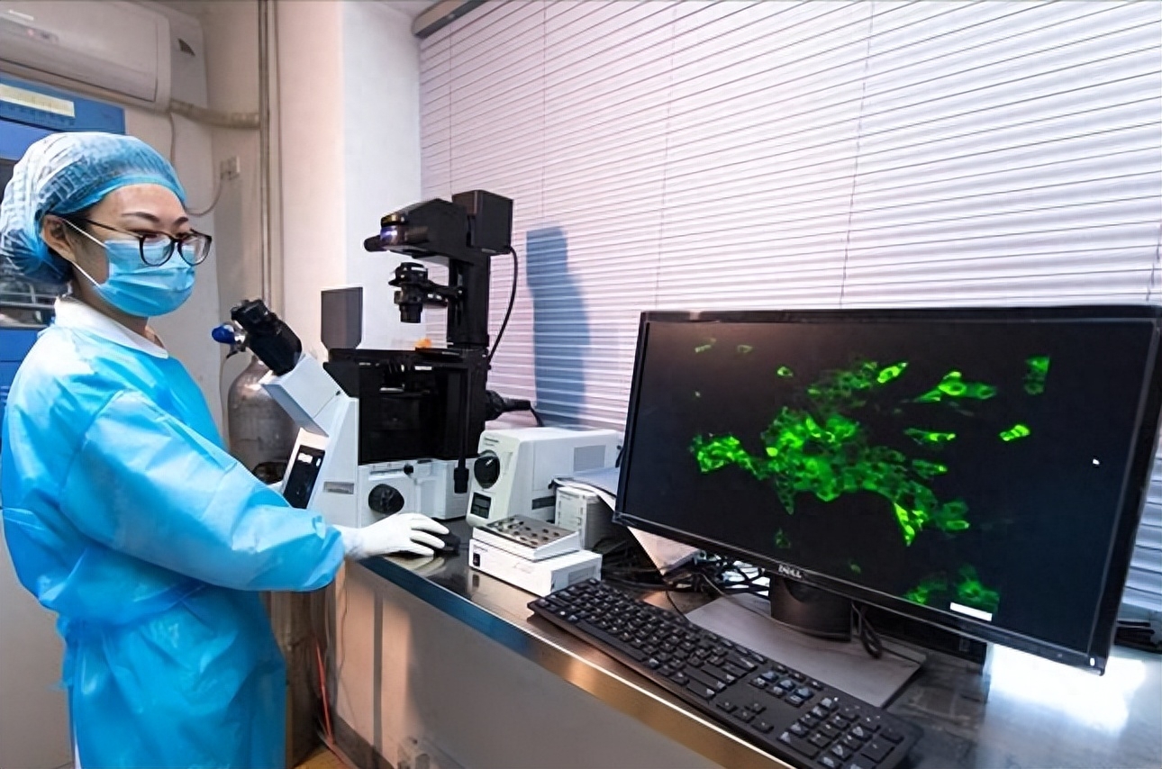 中电数据研究生待遇,中电硕士待遇