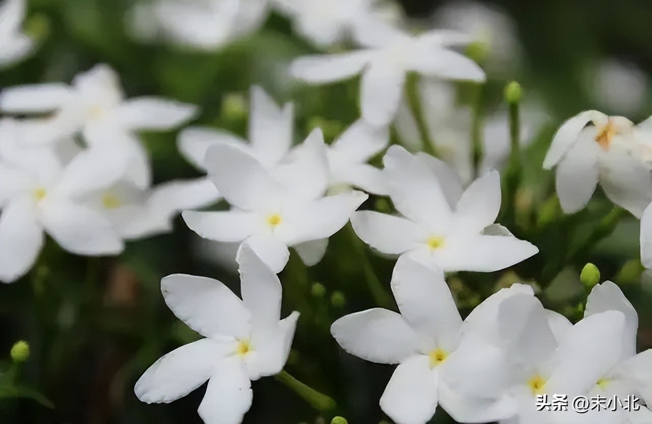 孤僻不愿意交流的人,一个人不想跟人说话是什么情况