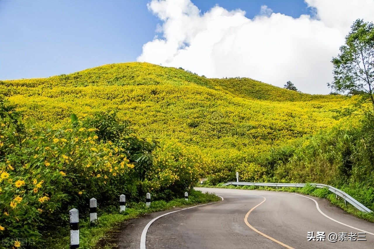 女作家去做保姆最新一期内容,女作家去做保姆520