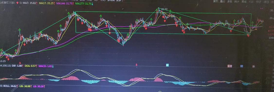 金蛋走势图,看走势图能推断出一等奖吗