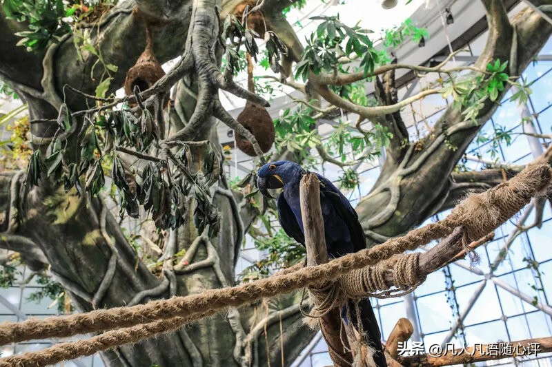 迪拜旅游风景如画,迪拜游玩地图