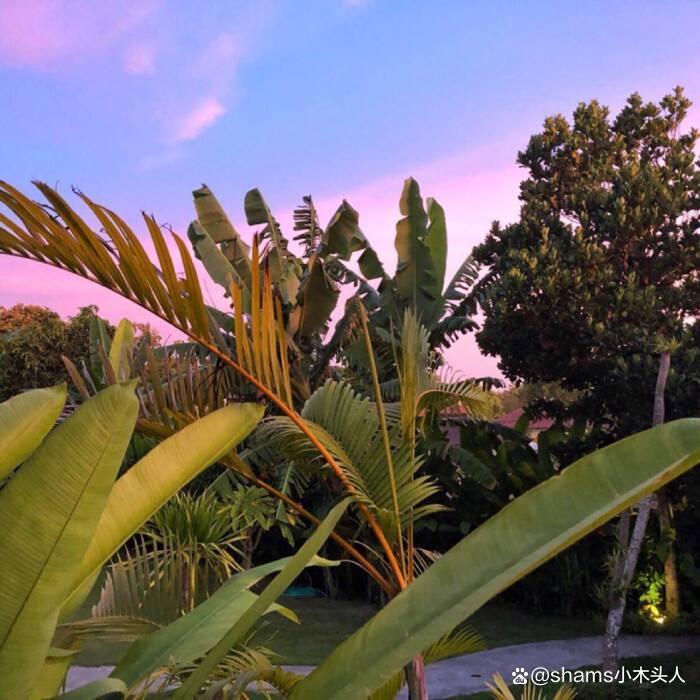 简短干净的微信id,简短干净的微信id昵称