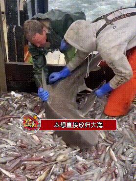 误发给女房东的微信,给老婆发短信误发给了女房东