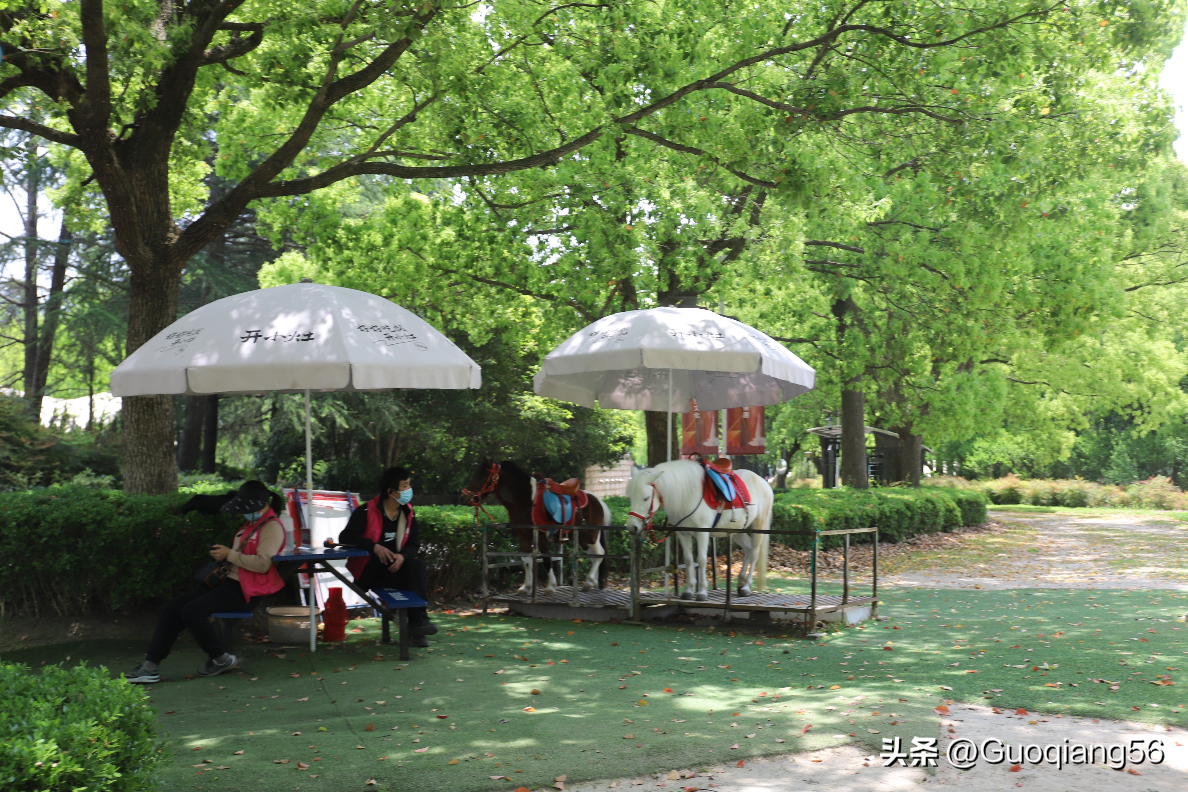 上海东方绿舟最新视频,上海东方绿舟时间