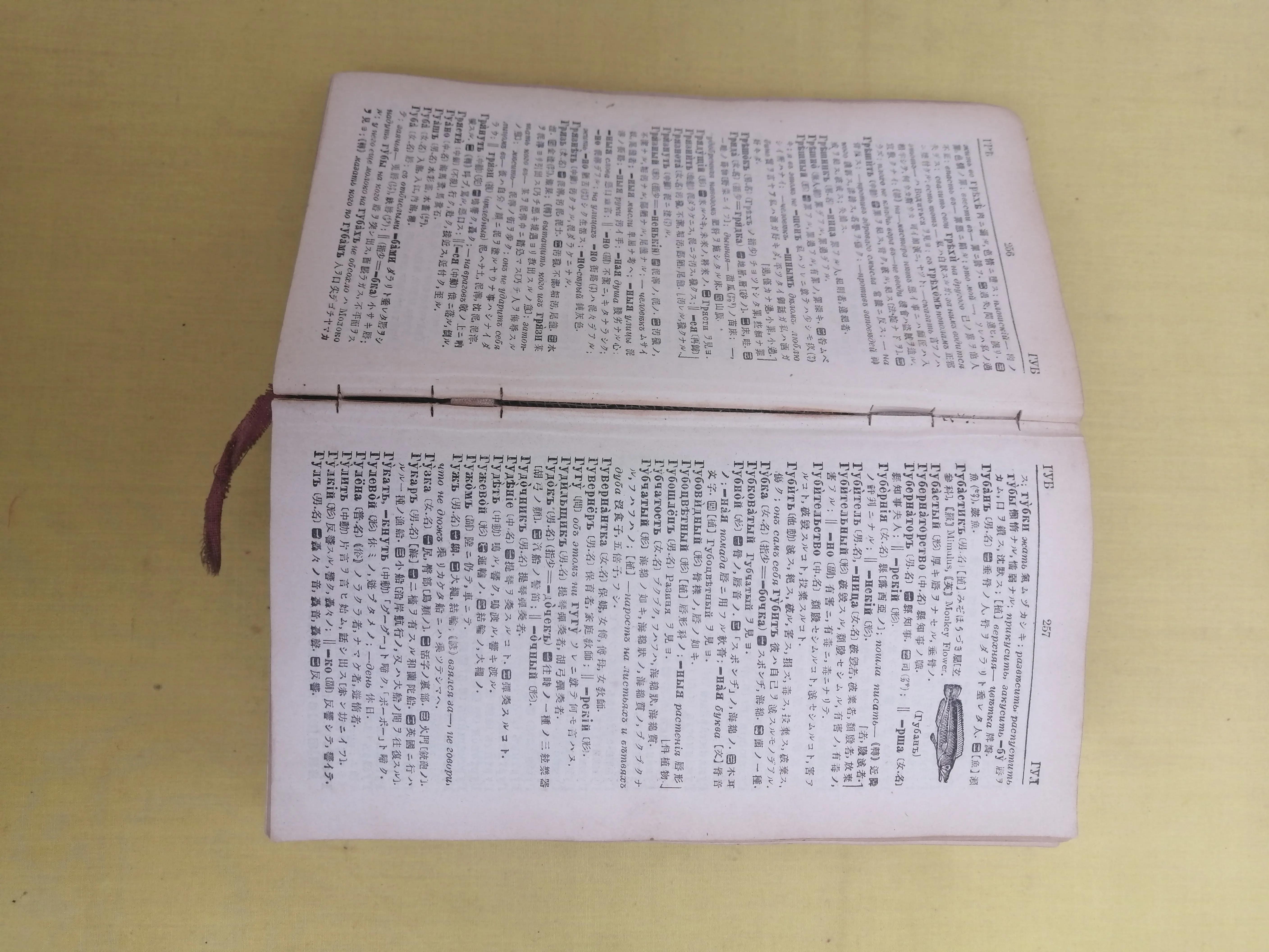 词源学日语,词源日语