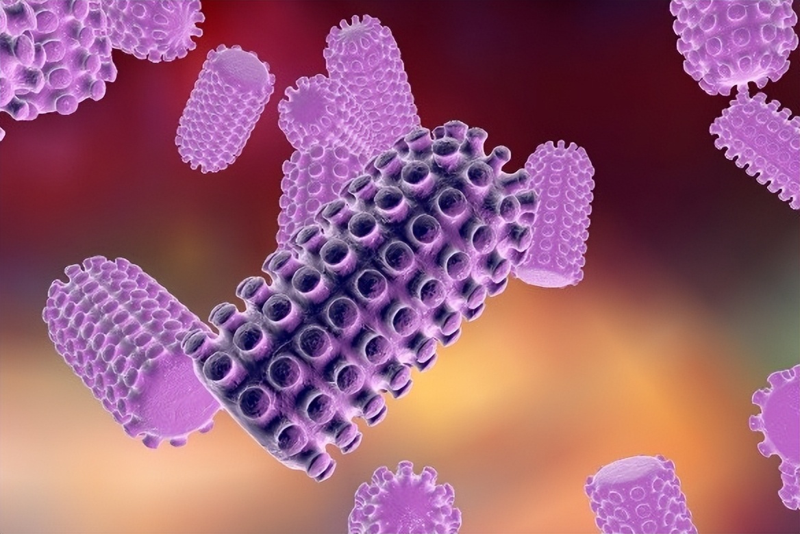 致死率近100%狂犬病为何如此恐怖,科普篇狂犬病到底有多可怕