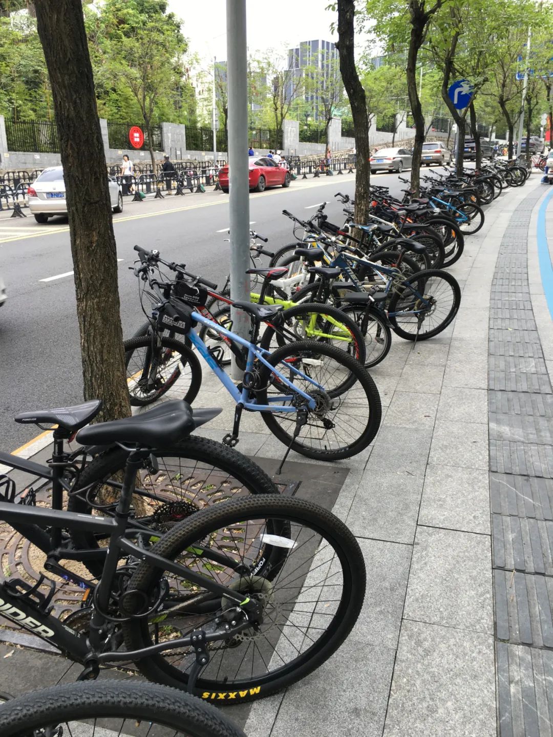 《旭光骑行深圳》第22站——龙华区观湖街道