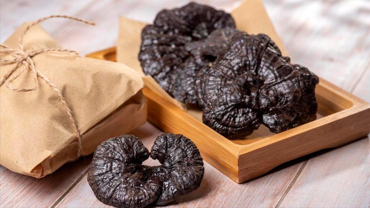 具有抗癌功效?灵芝孢子粉究竟是神药还是鸡肋,医生告诉你真相