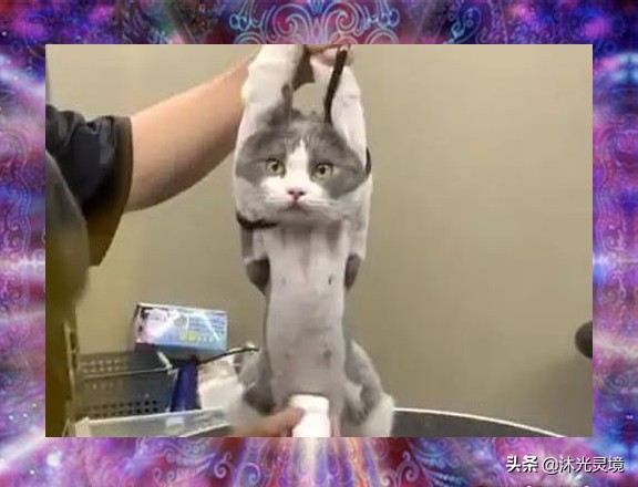 腹式呼吸前如何调理,腹式呼吸法属于哪种治疗方法