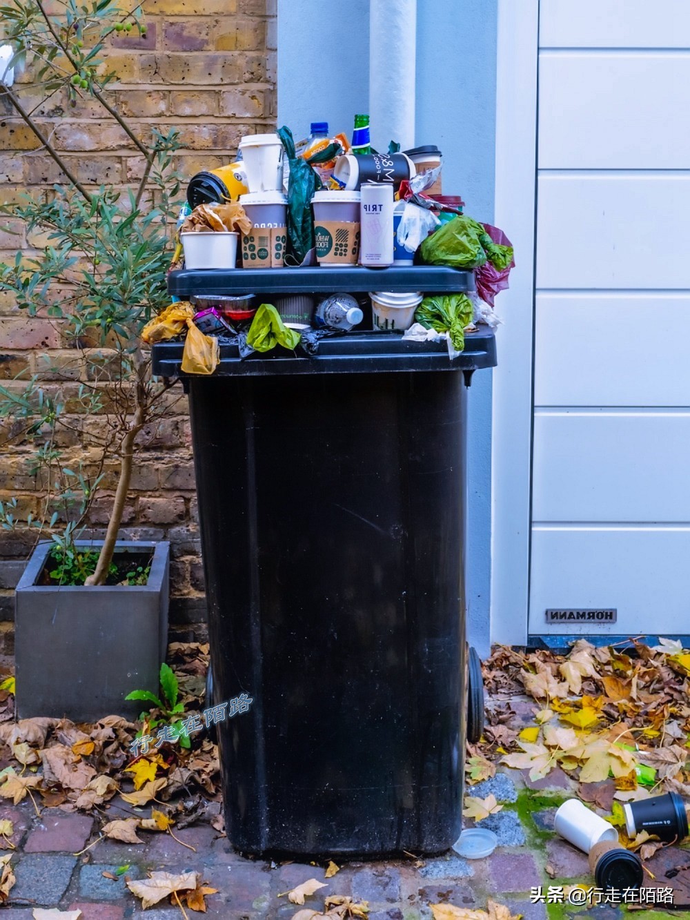 素食小镇图宾根：一次性餐具单独缴税，外卖打包自带水杯碗盘