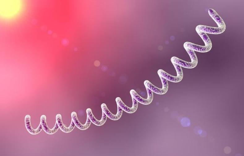 得了梅毒有什么症状？身上会痒吗？梅毒能治愈吗？早了解早受益