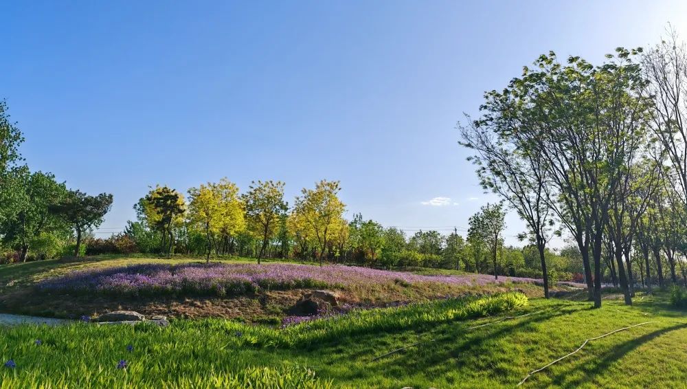 南苑森林湿地公园预约,南苑森林湿地公园团购
