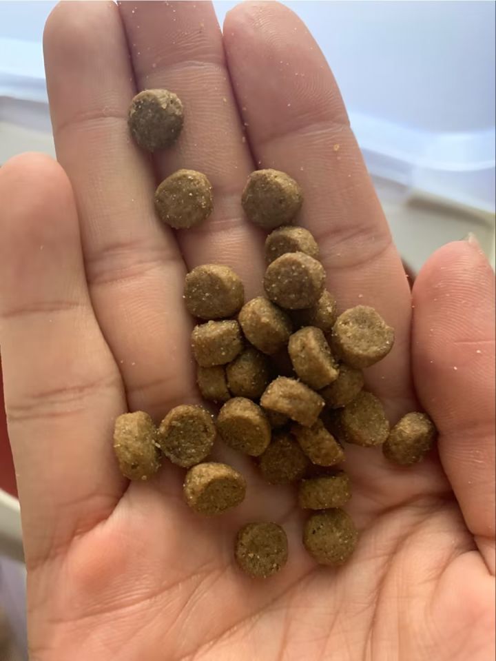 卡比猫粮黑下巴,卡比猫粮真假辨别