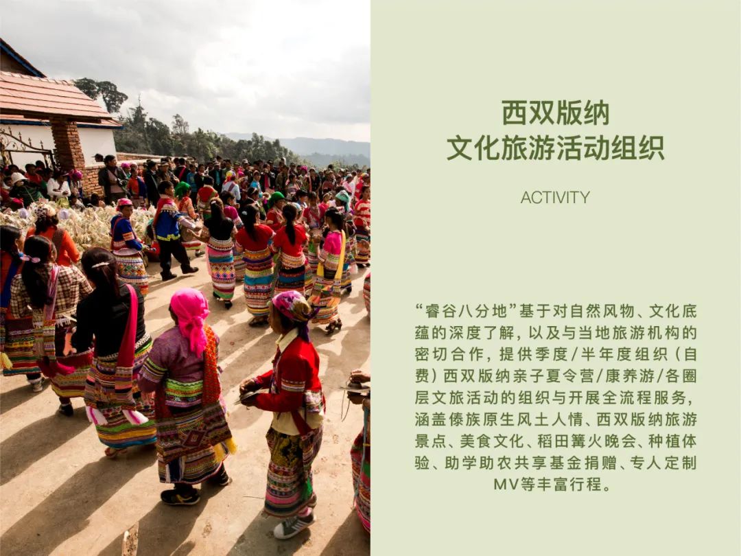 大道恒美×睿谷生态：大品牌战略，赋新生活方式营销