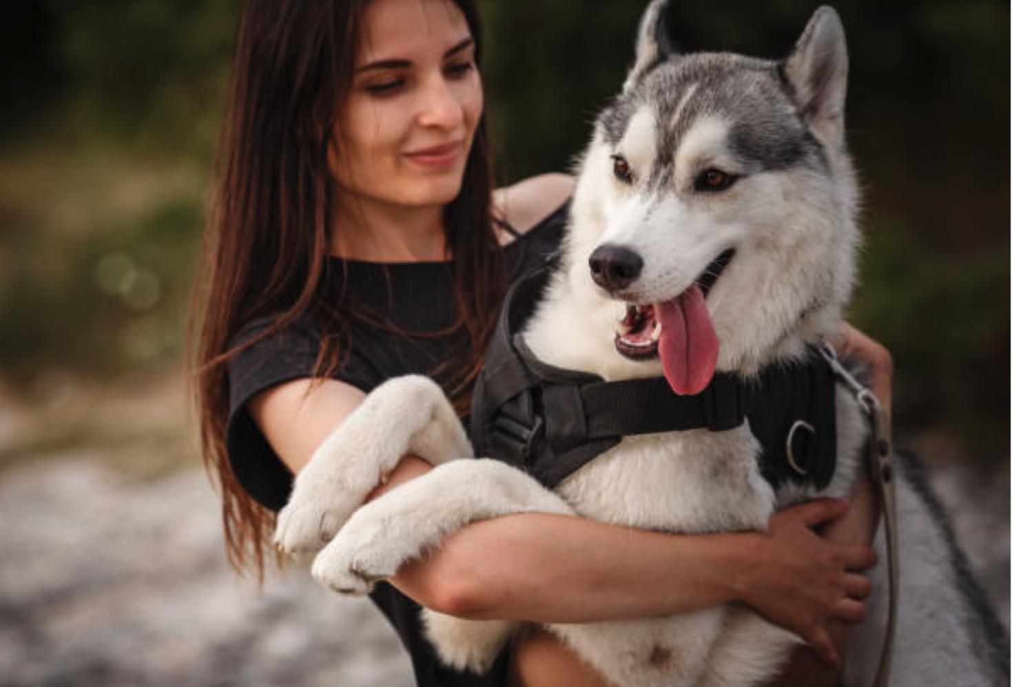 为什么狗狗喜欢嗅人的*处私**？