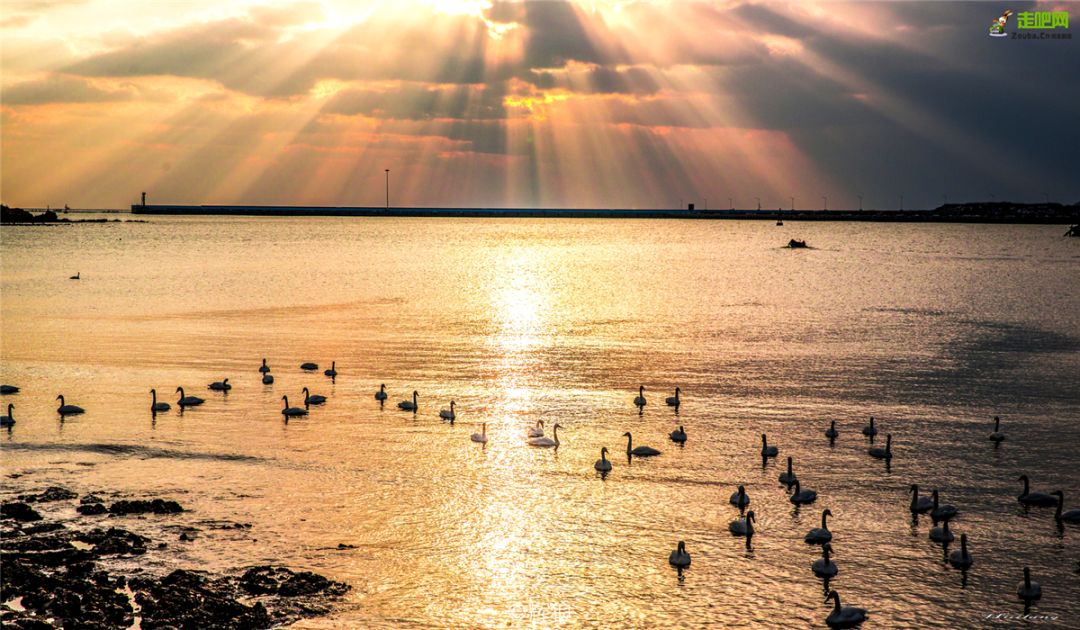 中国十大养老宜居城市,最宜居的十个养老城市