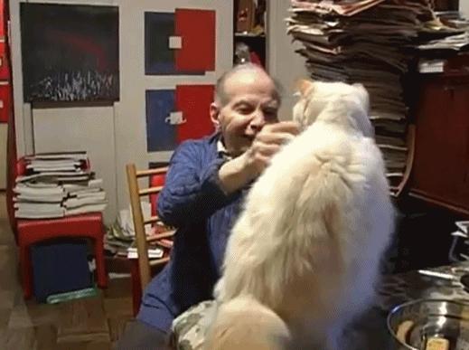 丁克家庭晚年真实生活 (丁克晚年生活纪录片)