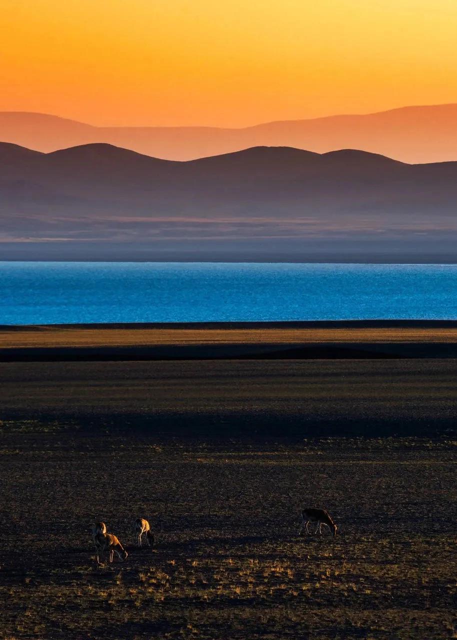 西北十大旅行攻略,西藏自驾游一日游攻略