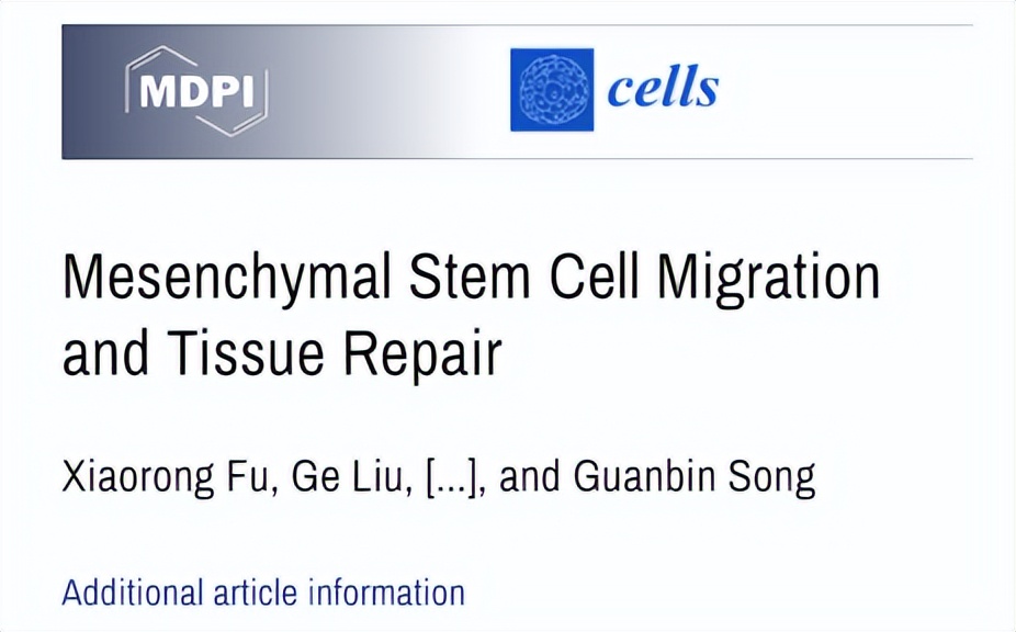 世界足球日的来源,世界足球日的由来