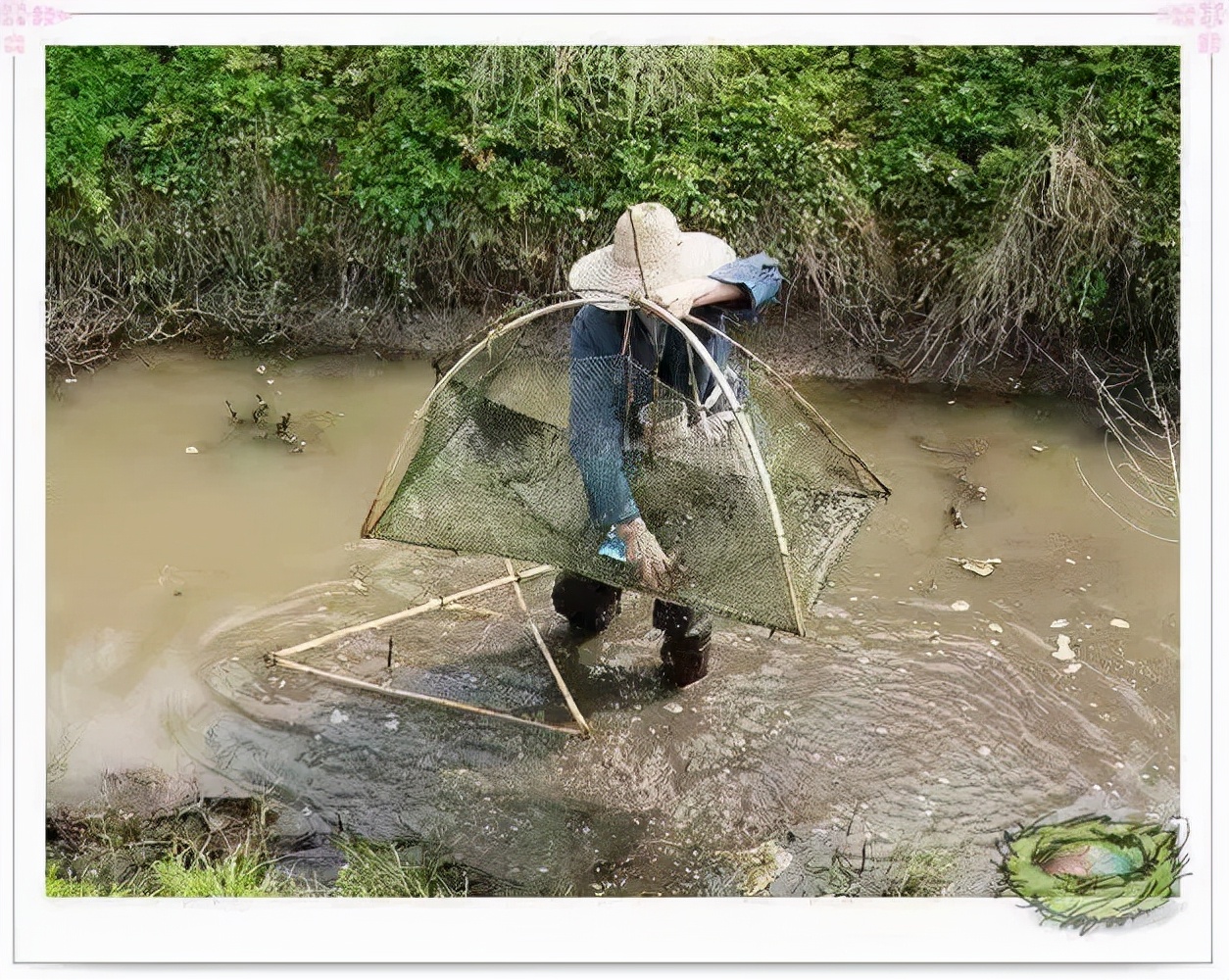 捉鱼捞虾的n种方式,黄梅县可以自己抓鱼捞虾的地方