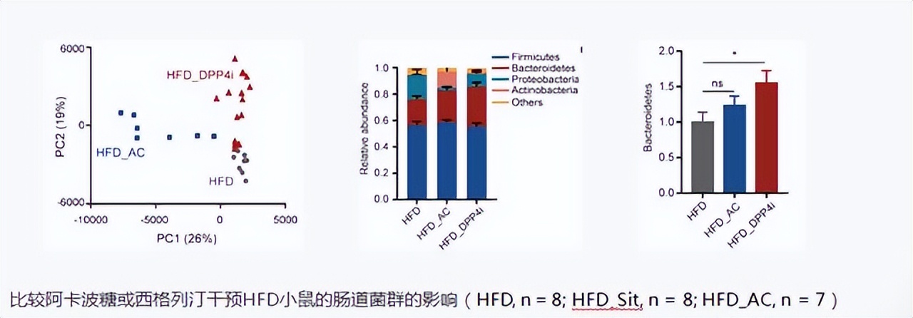 肠道菌群对糖尿病的影响,肠道有益菌对糖尿病的影响
